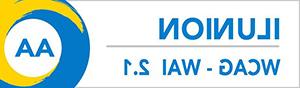 Ilunion WCAG - WAI 2.1 / AA level accessibility certification